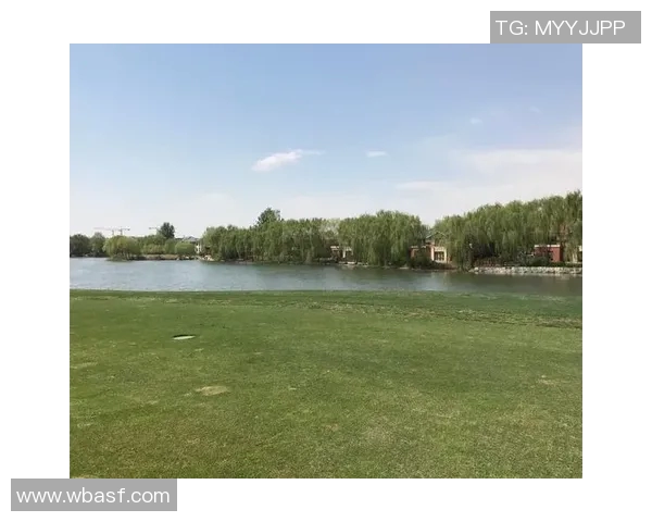 丹麦足球巨星艾力圣精彩瞬间展现球场风采和无尽潜力