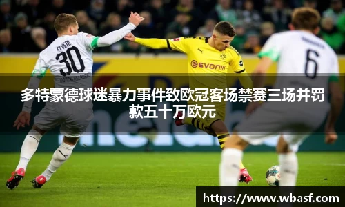 多特蒙德球迷暴力事件致欧冠客场禁赛三场并罚款五十万欧元