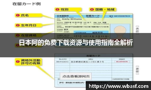 日本阿的免费下载资源与使用指南全解析